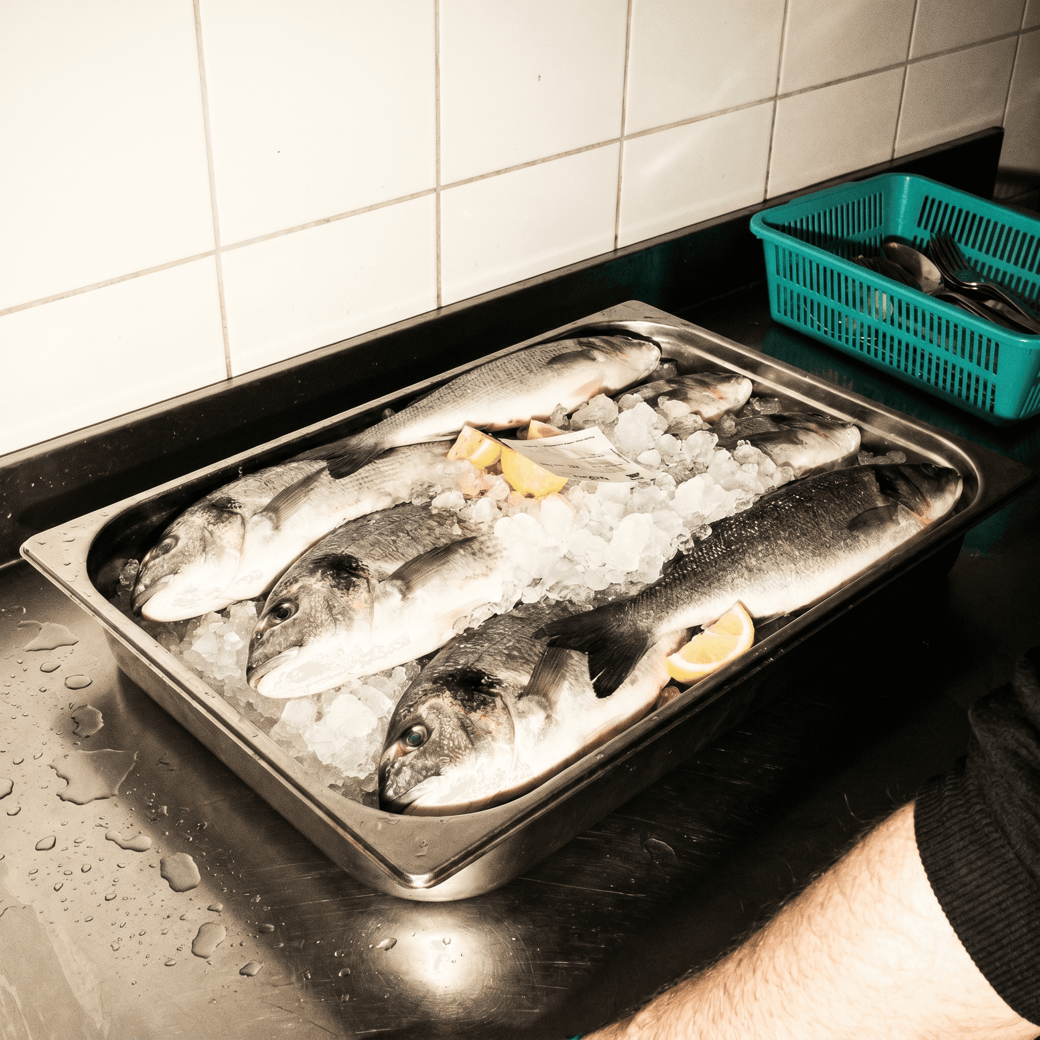 A steel fishmonger tray of whole fish on crushed ice, scales glinting under hard flash.